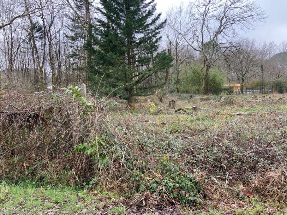 vente Terrain - 1200 m² La Brède (33650)
