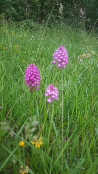  Maison � vendre 1 pi�ce 80 m�