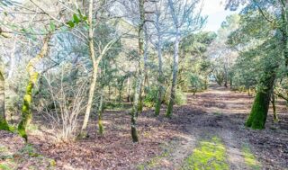  Terrain à vendre 1290 m²