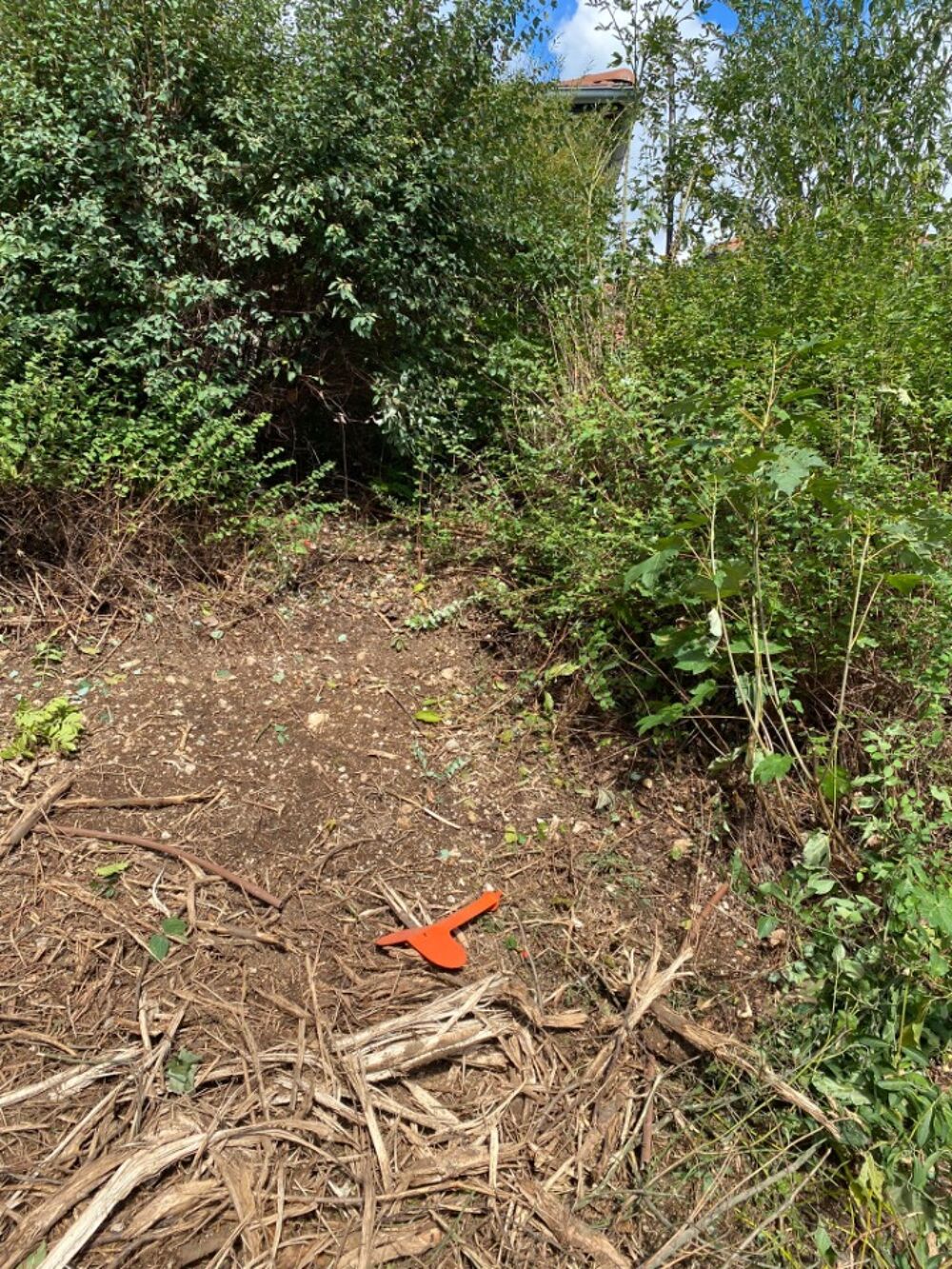 vente Maison - 5 pièce(s) - 125 m² Chevry (01170)