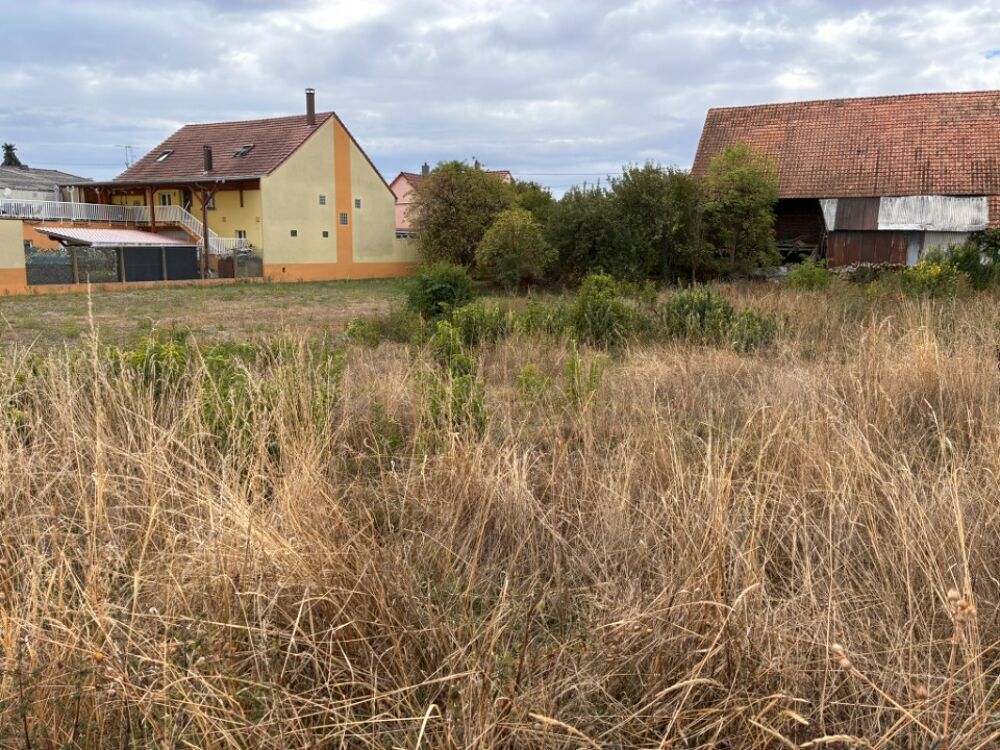vente Terrain - 537 m² Durrenentzen (68320)