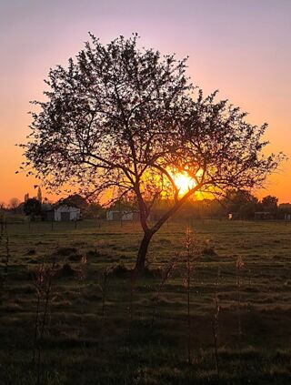  Terrain � vendre 600 m�