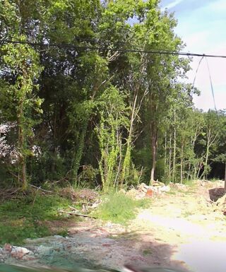  Terrain 1004 m� Tigeaux