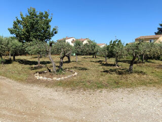  Terrain  vendre 250 m