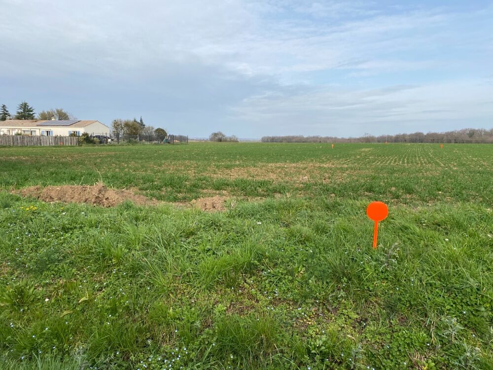 vente Terrain - 753 m² Plassay (17250)