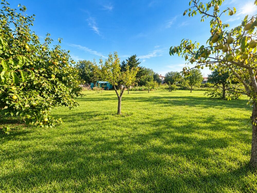 vente Terrain - 544 m² Puget-sur-Argens (83480)