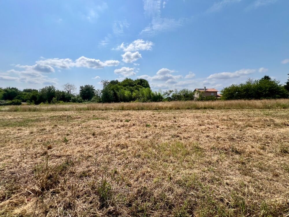 vente Terrain - 362 m² Replonges (01750)