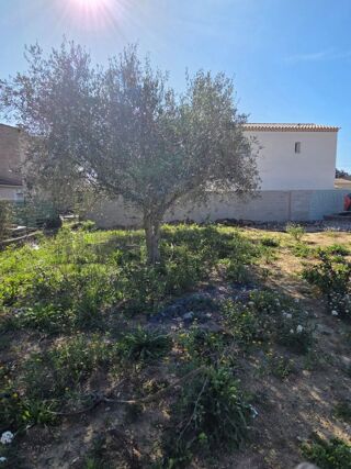  Terrain à vendre 325 m²