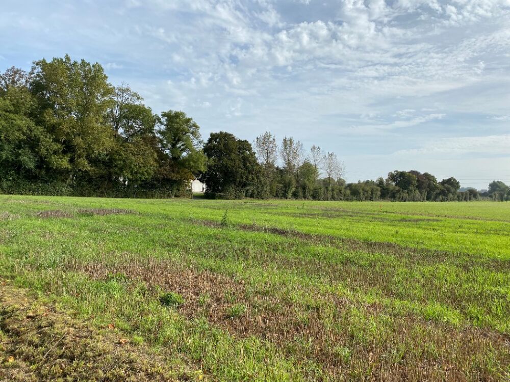VENTE d'une maison F7 (170 m²) à Agnez-lès-Duisans E....