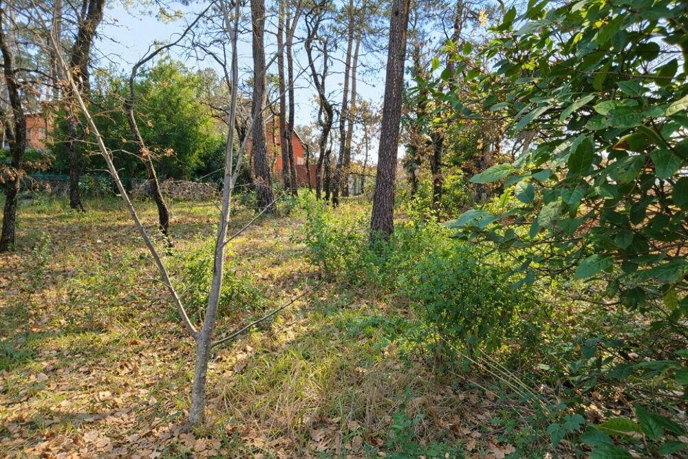 vente Maison - 4 pièce(s) - 90 m² Rocbaron (83136)