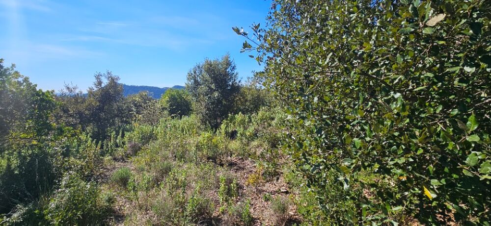 vente Terrain - 10000 m² Bagnols-en-Forêt (83600)