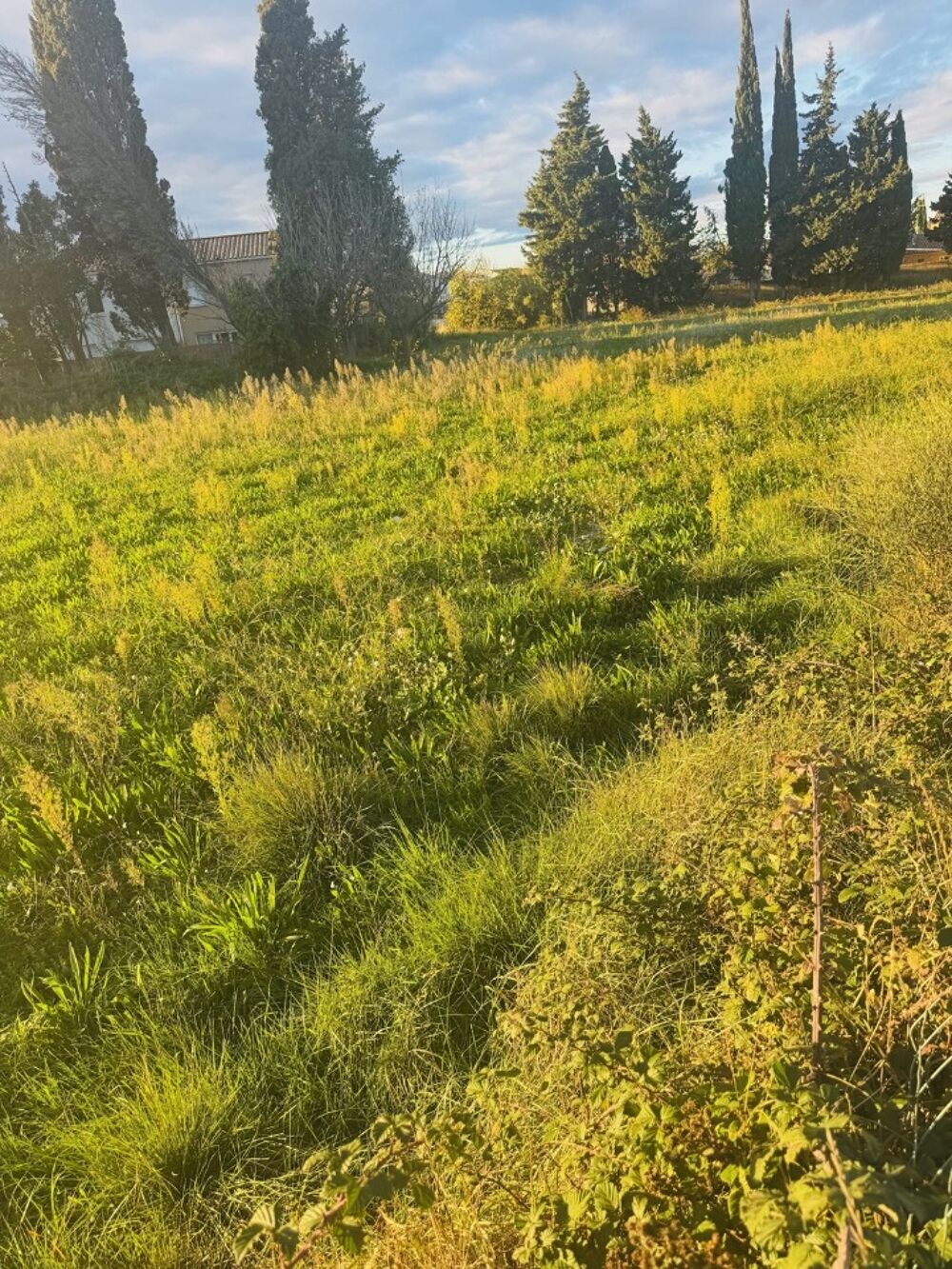 vente Maison - 4 pièce(s) - 80 m² Istres (13800)