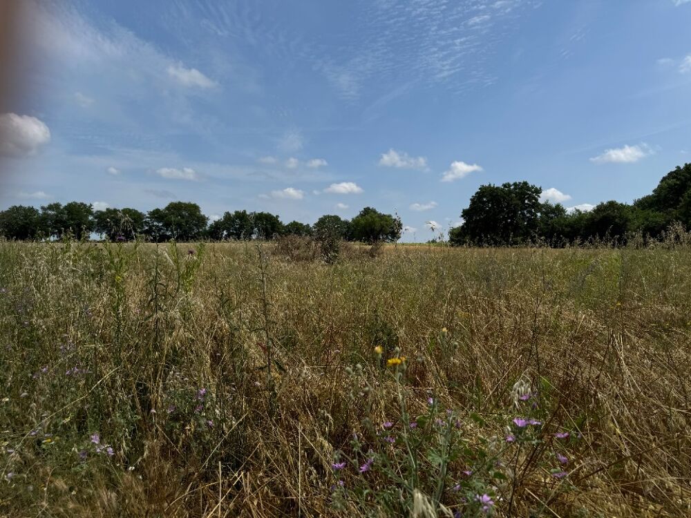 vente Terrain - 175 m² Vérargues (34400)