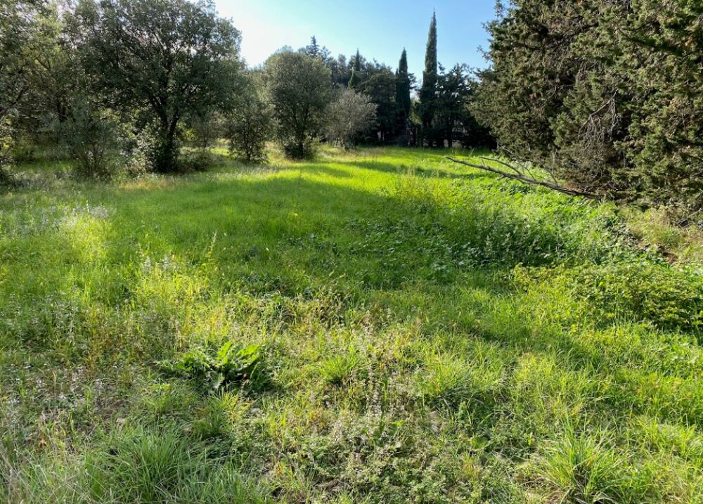 vente Terrain - 802 m² Grillon (84600)