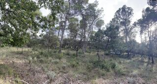  Maison 4 pi�ces 90 m� Le thoronet