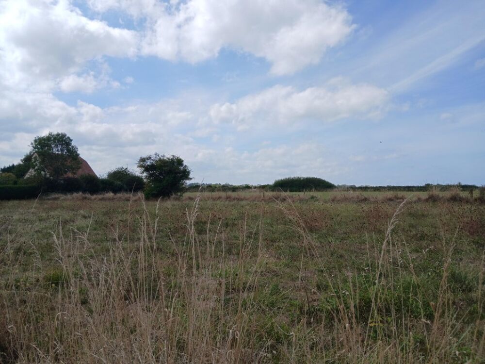 vente Terrain - 500 m² Longues-sur-Mer (14400)
