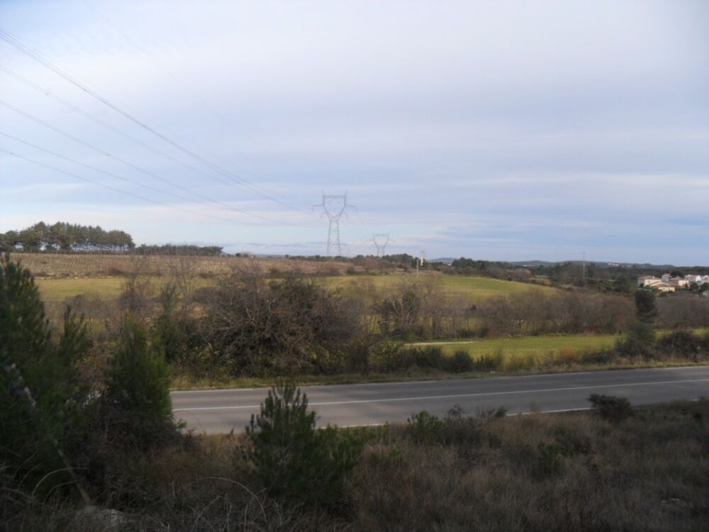vente Terrain - 242 m² Aimargues (30470)