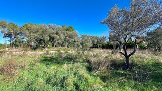  Maison 5 pi�ces 100 m� Bagnols-en-for�t