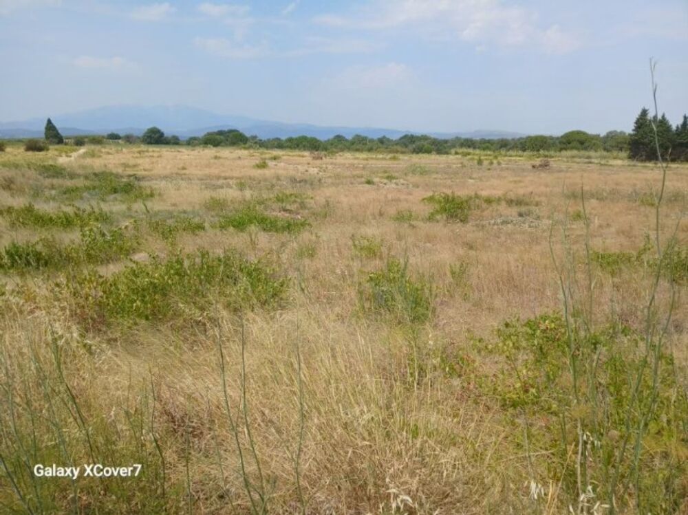 vente Terrain - 522 m² Villemolaque (66300)
