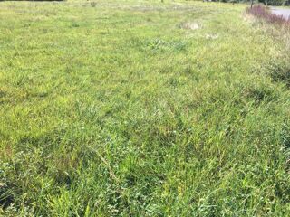  Maison � vendre 2 pi�ces 50 m�