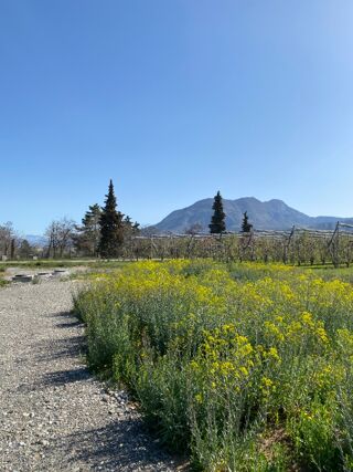  Terrain 700 m² Ventavon