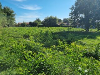  Terrain à vendre 1050 m²
