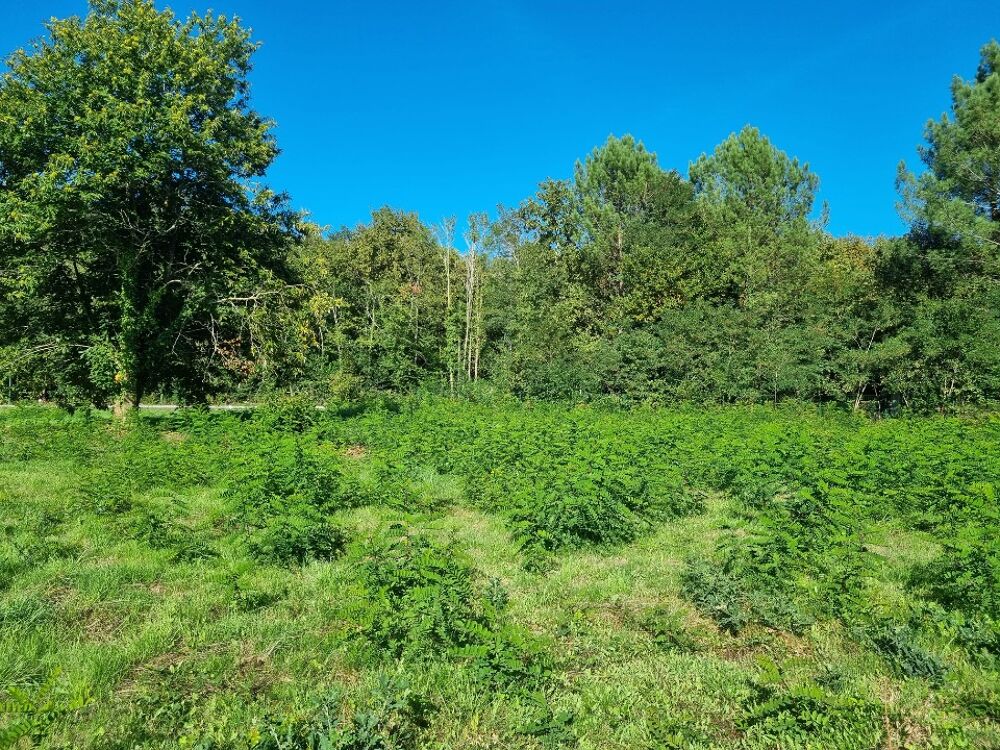 vente Terrain - 1035 m² Saint-Médard-en-Jalles (33160)