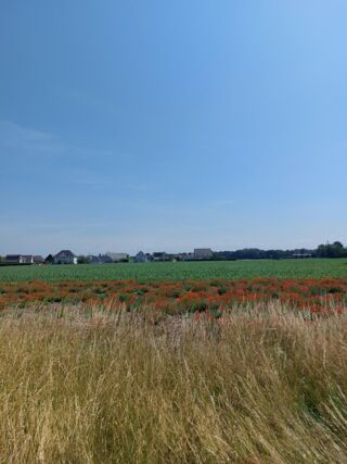  Terrain � vendre 367 m�