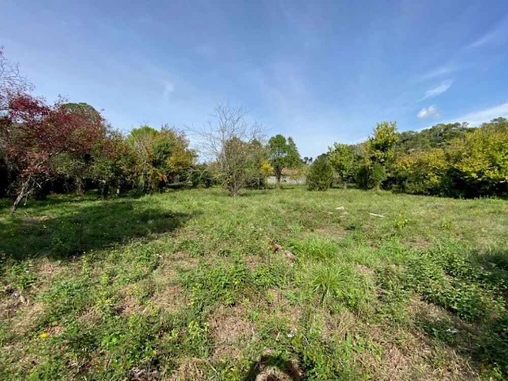 vente Terrain - 626 m² Carnoules (83660)