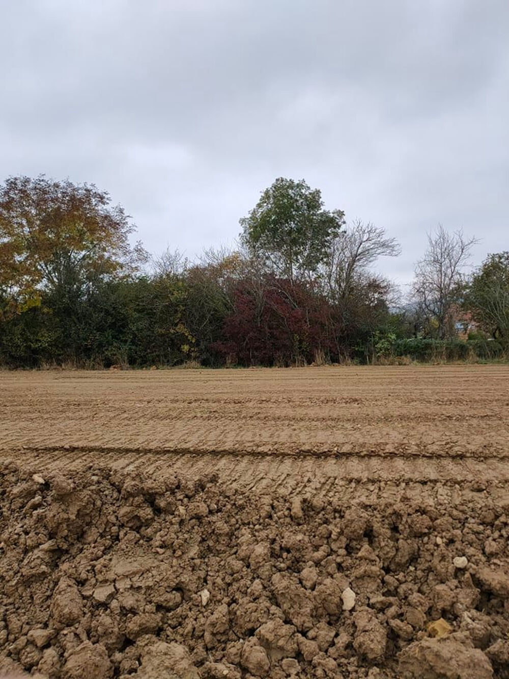 Vandières : maison de 4 pièces (89 m²) en vente IDÉA....