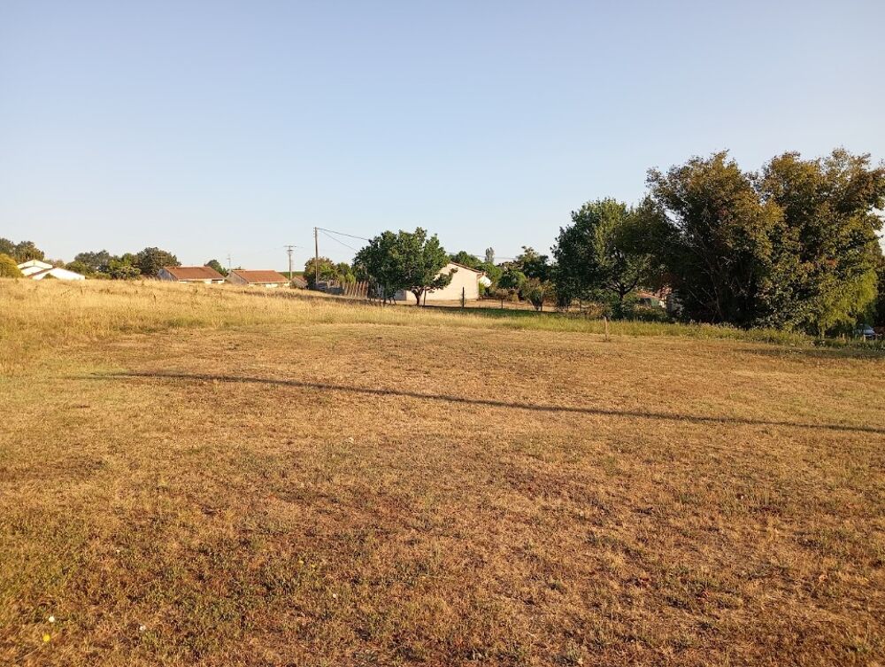 vente Terrain - 1597 m² Rauzan (33420)