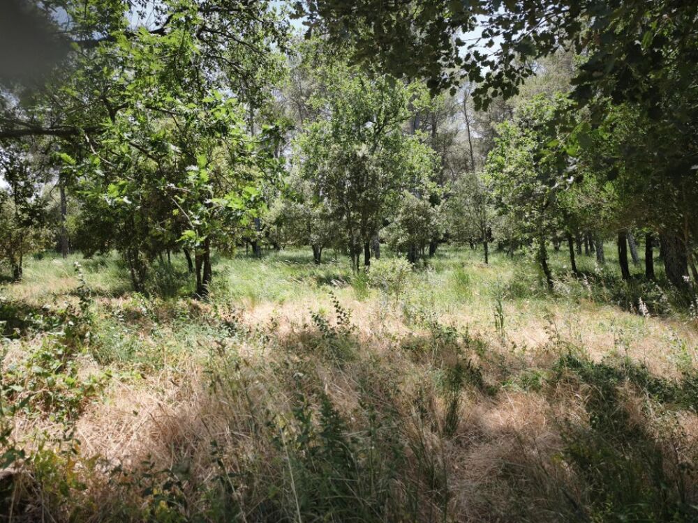 vente Terrain - 655 m² Garéoult (83136)