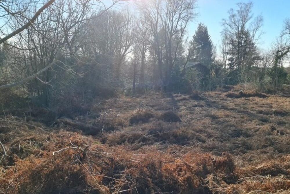 vente Terrain - 1700 m� Lacombe (11310)