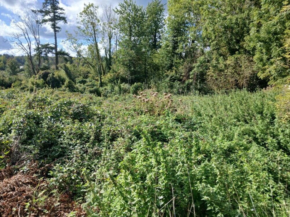 vente Maison - 6 pièce(s) - 93 m² Machiel (80150)