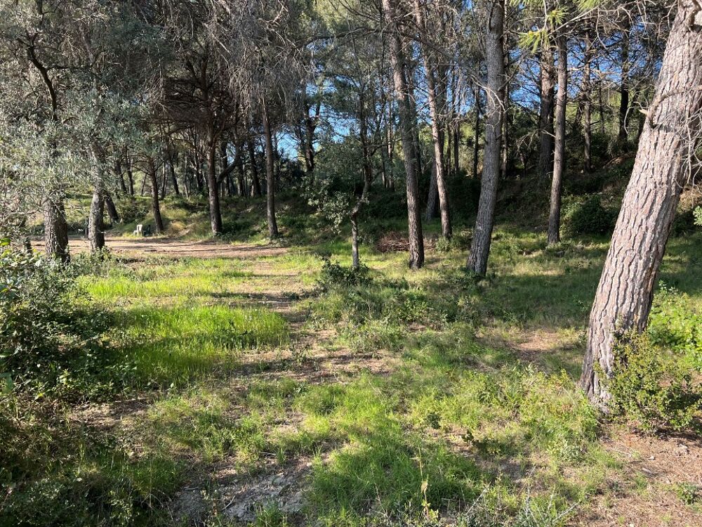 vente Terrain - 614 m² Eyguières (13430)