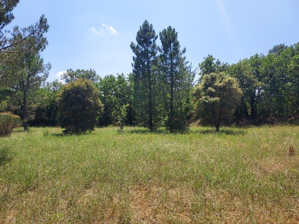 vente Terrain - 1165 m² Gonfaron (83590)