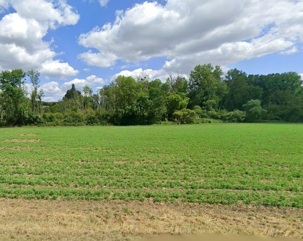 vente Terrain - 906 m² Guigneville-sur-Essonne (91590)
