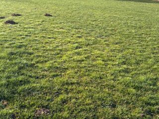  Maison � vendre 4 pi�ces 75 m�