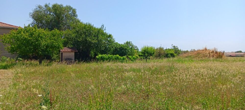 vente Maison - 5 pièce(s) - 91 m² Brens (81600)