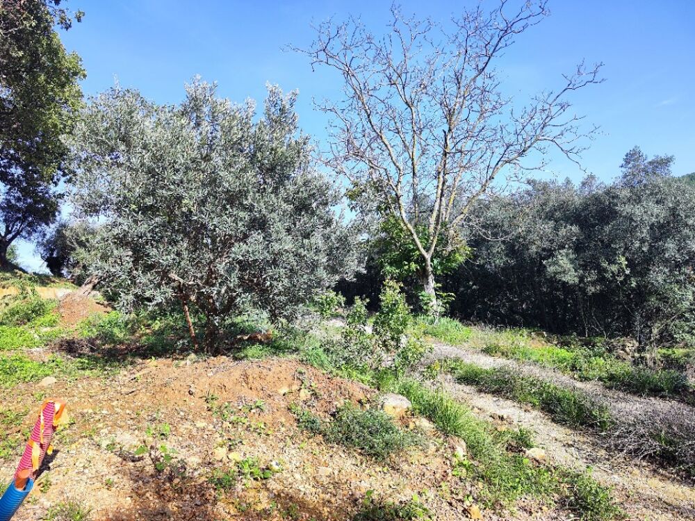 vente Terrain - 1920 m² Solliès-Toucas (83210)
