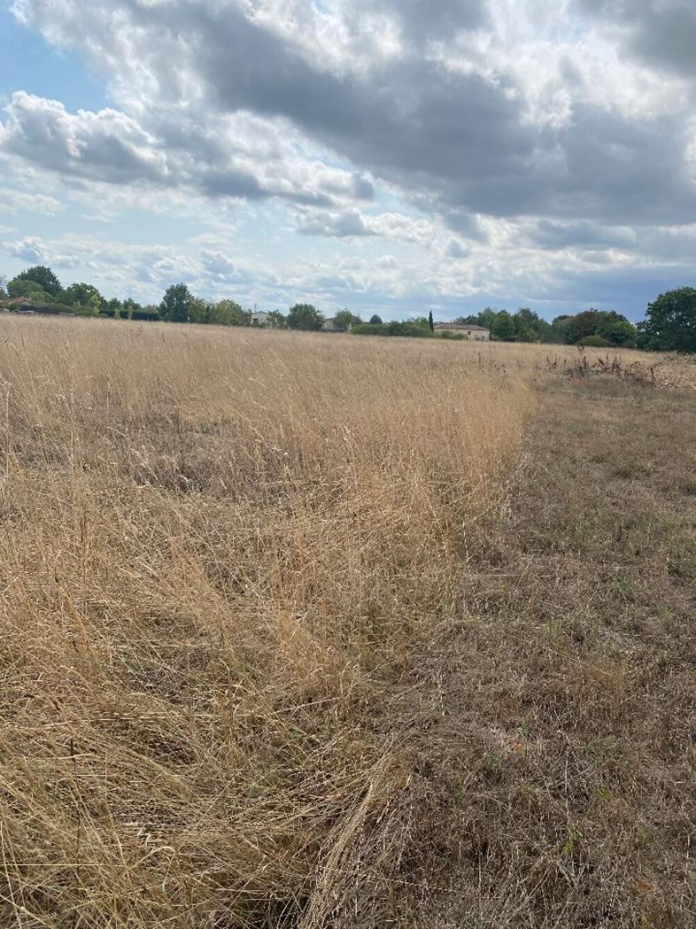 vente Terrain - 632 m² Montauban (82000)