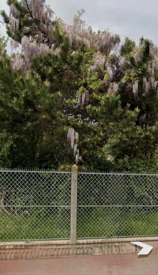  Terrain � vendre 260 m�