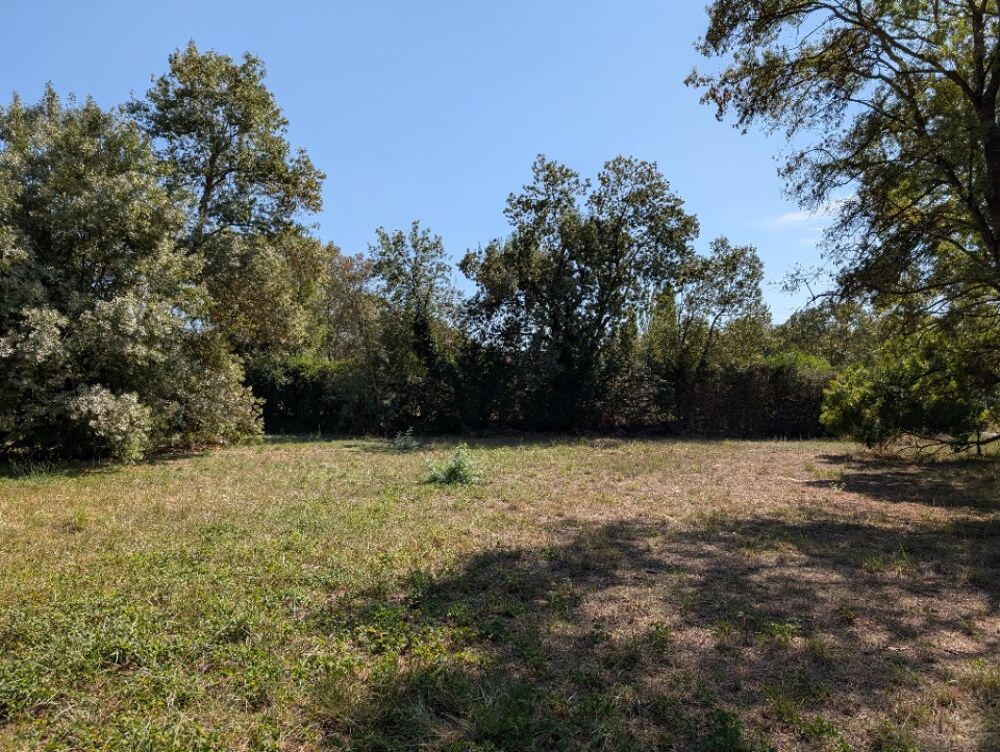 vente Terrain - 1105 m² Châteauneuf-Grasse (06740)
