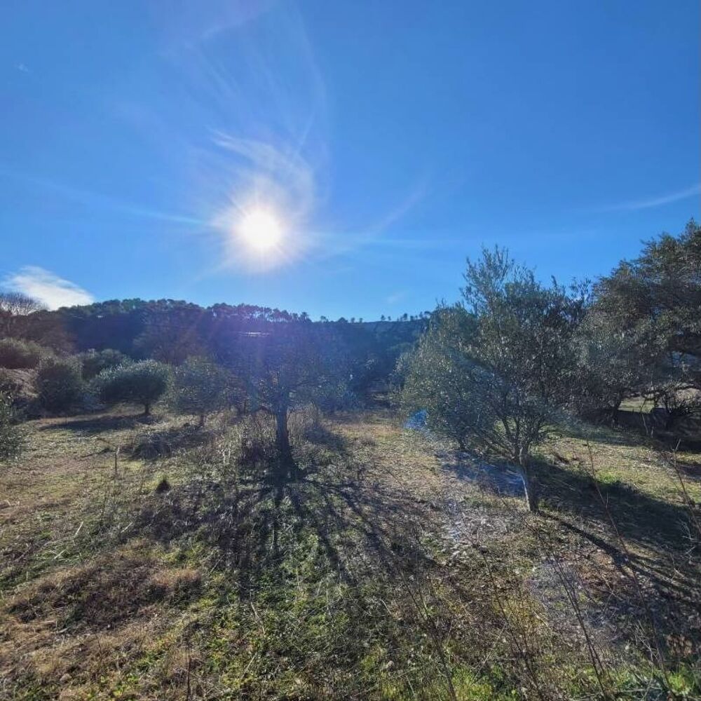vente Terrain - 766 m² Cuges-les-Pins (13780)