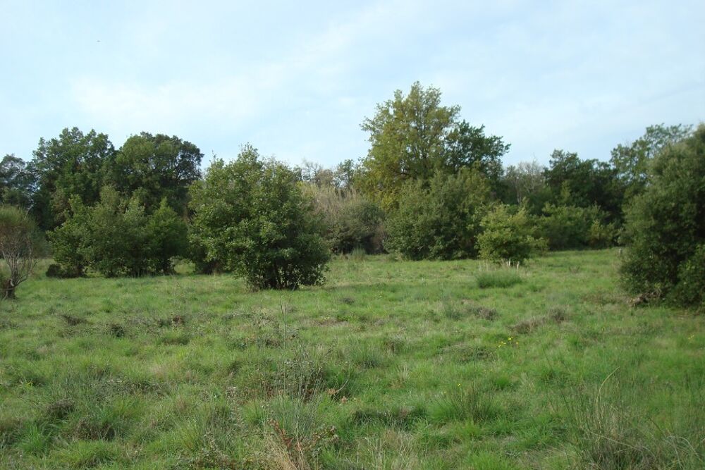 vente Terrain - 171 m² Perpignan (66000)