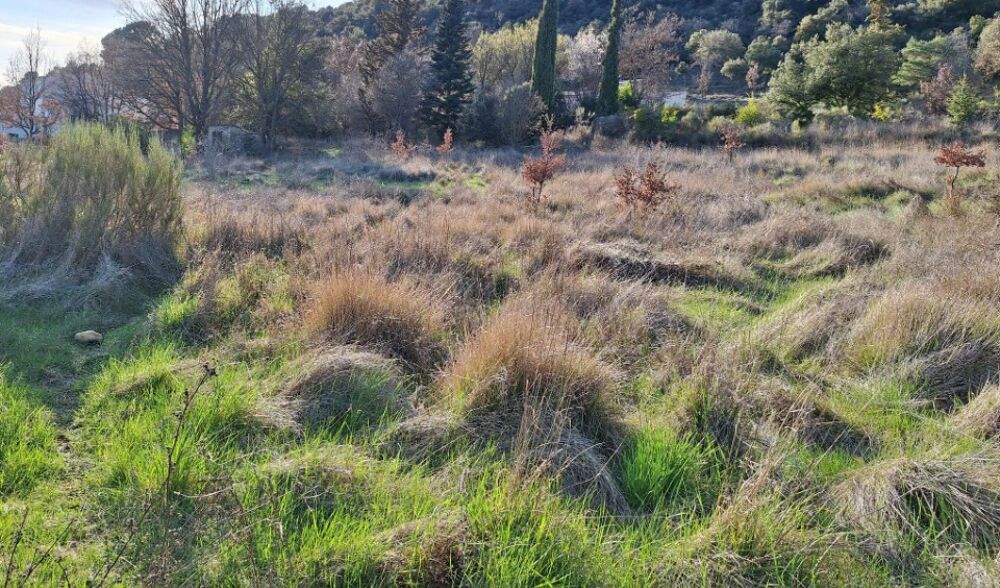 vente Terrain - 2692 m² Allemagne-en-Provence (04500)