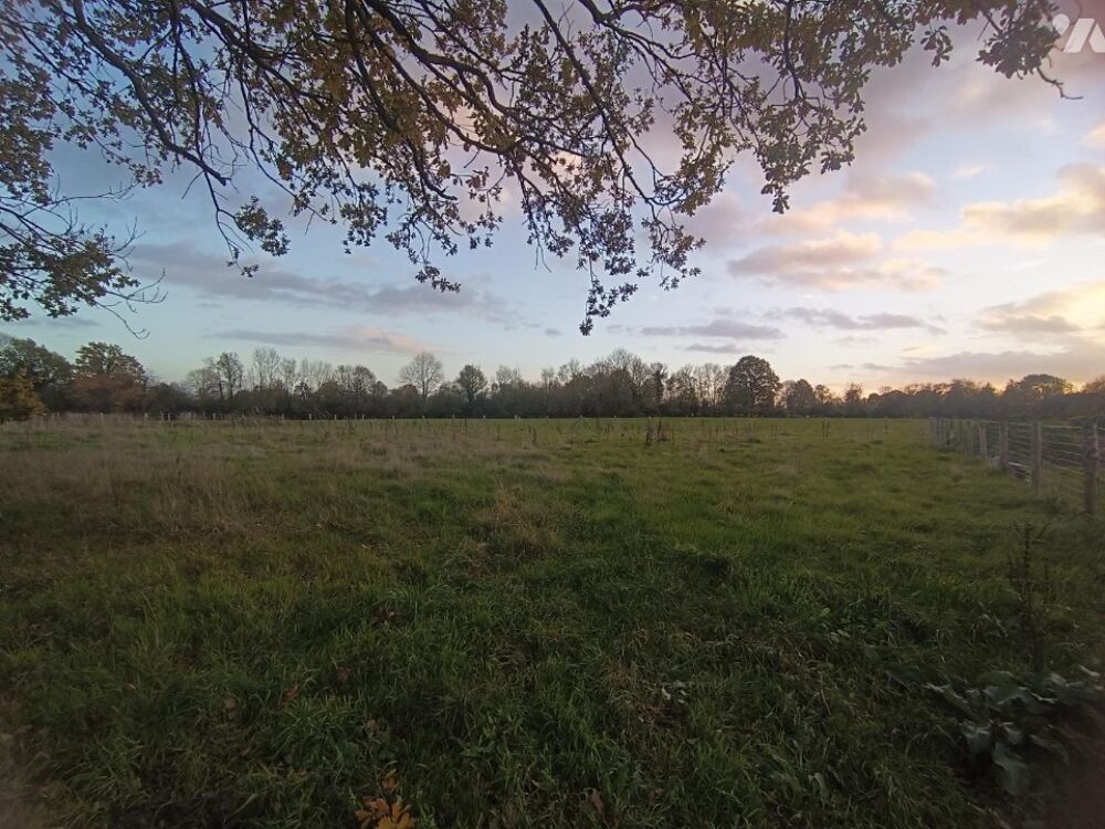 vente Maison - 7 pièce(s) - 170 m² Saint-Philbert-des-Champs (14130)