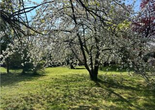  Maison 5 pi�ces 100 m� Mareil-le-guyon