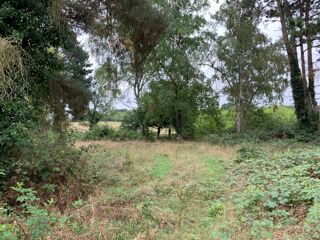  Maison 6 pi�ces 142 m� Rambouillet