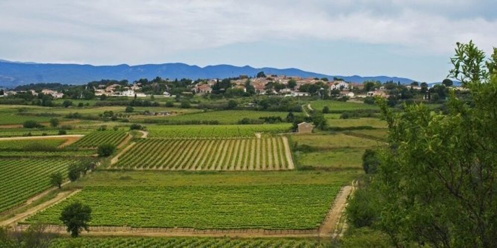 vente Terrain - 246 m² Pailhès (34490)